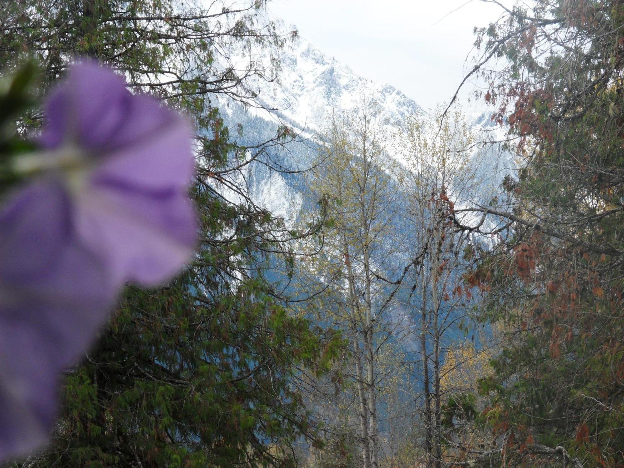 The Hitching Post Motel Pemberton Esterno foto