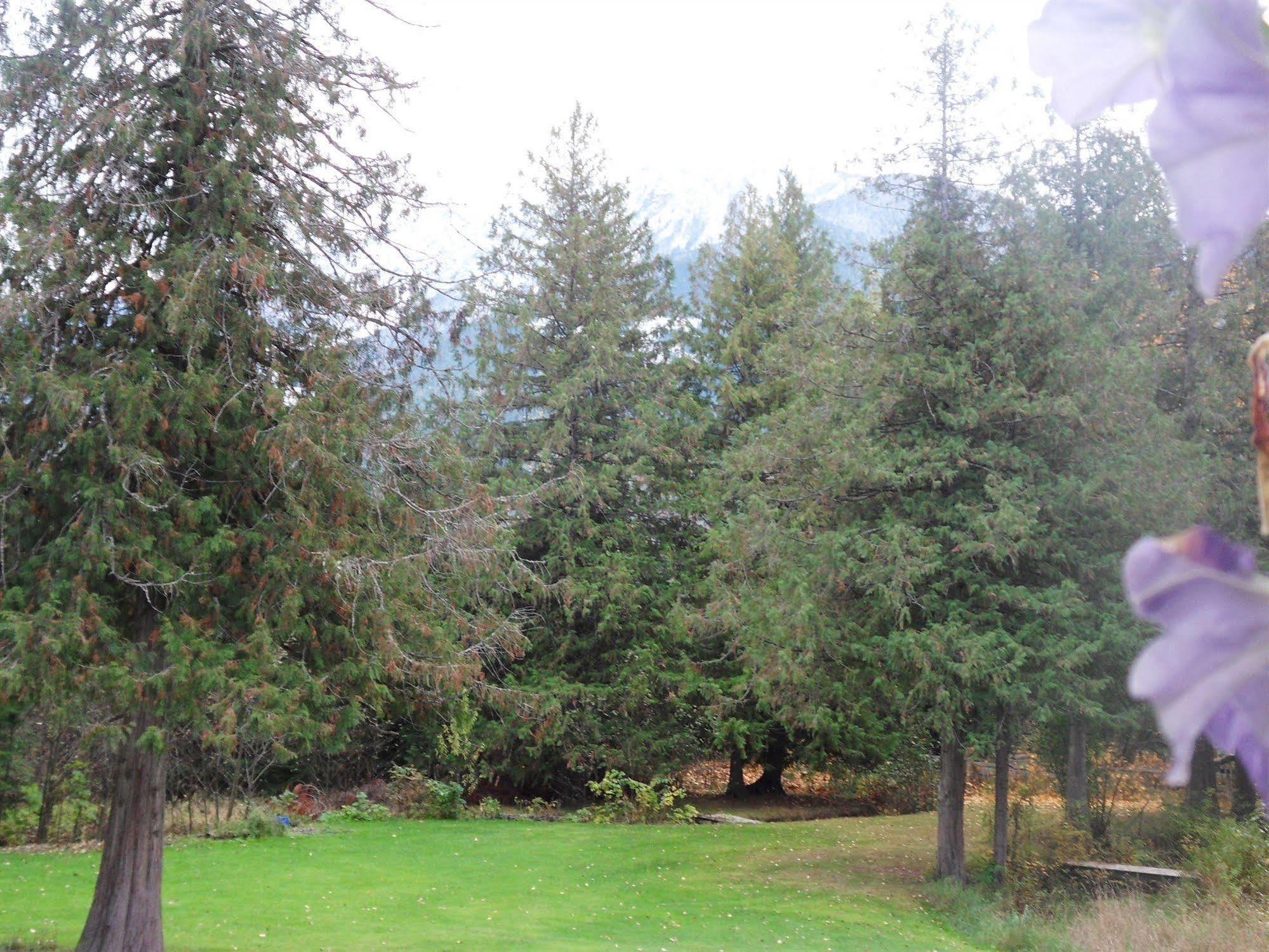 The Hitching Post Motel Pemberton Esterno foto